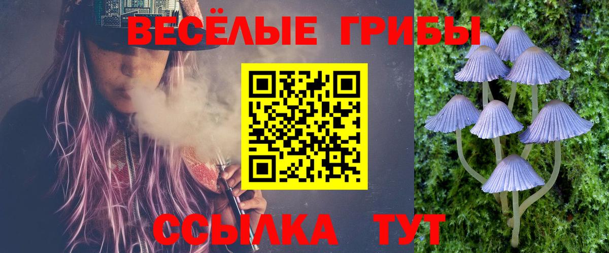 Псилоцибиновые грибы мицелий Серов