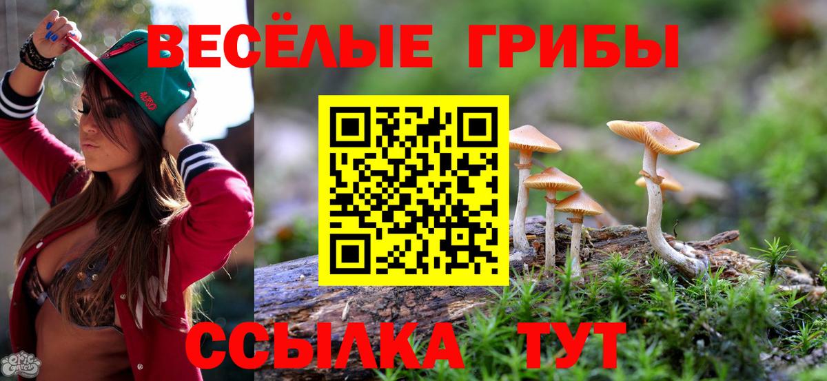 Псилоцибиновые грибы Magic Shrooms  Вход с VPN  Серов 